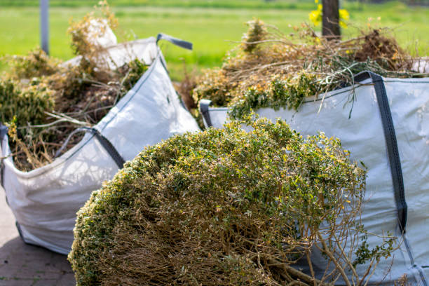Best Hoarding Cleanup  in Anthem, AZ
